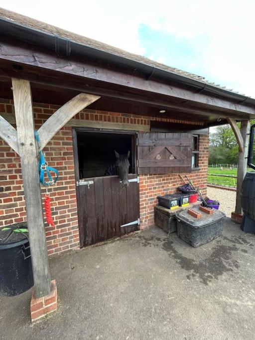 펫워스 The Stable, Grove End Farm 아파트 외부 사진