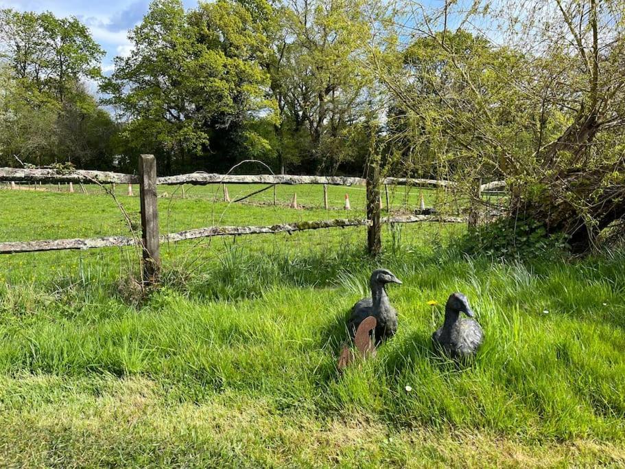 펫워스 The Stable, Grove End Farm 아파트 외부 사진