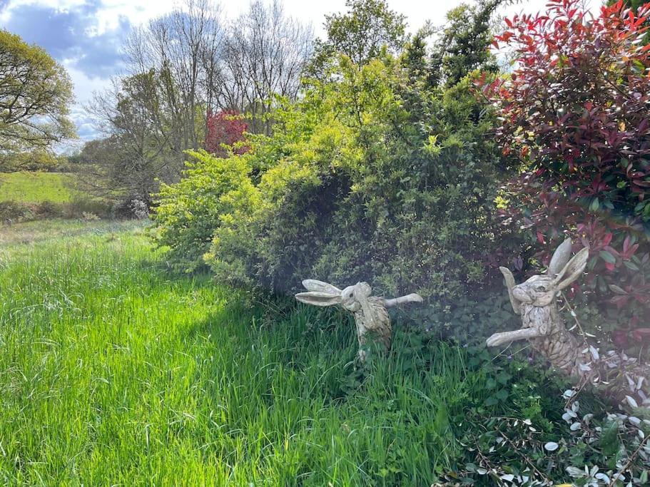 펫워스 The Stable, Grove End Farm 아파트 외부 사진